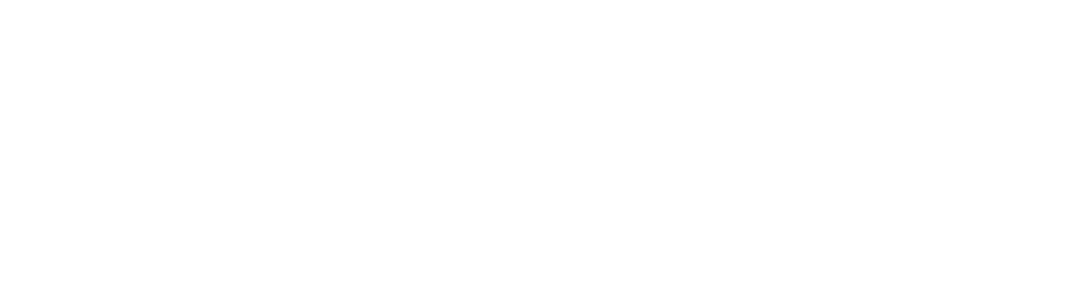 light logo